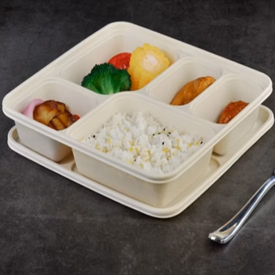 Alimentos a granel 8 polegadas 3 compartimentos preparações de refeição 1 compartimento recipiente
